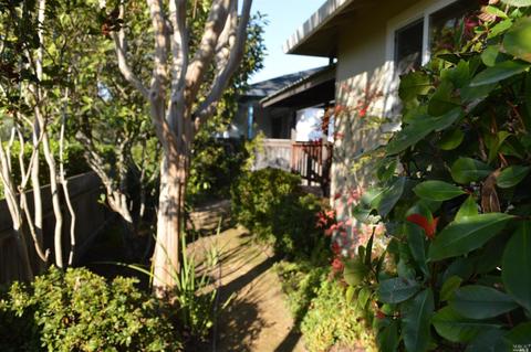 233 Vineyard Dr, Healdsburg, CA 95448 photo 10