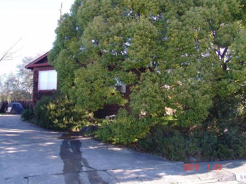 845 Starburst Ct, Windsor, CA 95492 photo 1