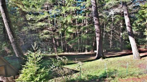 25026 Cobb Dr, Willits, CA 95490 photo 23