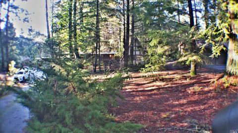 25026 Cobb Dr, Willits, CA 95490 photo 6