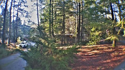 25026 Cobb Dr, Willits, CA 95490 photo 5