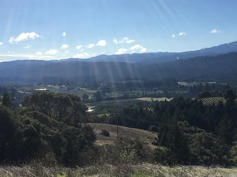 13731 Clow Ridge Rd, Philo, CA 95466 photo 1