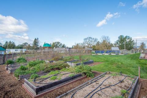 5627 Mcfarlane Rd, Sebastopol, CA 95472 photo 33