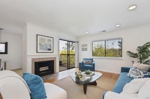 8 Whittier Ct, Mill Valley, CA 94941 photo 13