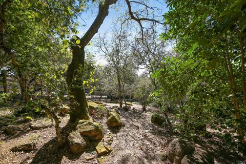 901 Central Ave, Sonoma, CA 95476 photo 23