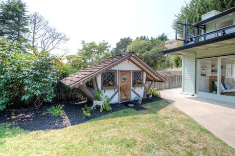 208 Ricardo Rd, Mill Valley, CA 94941 photo 41