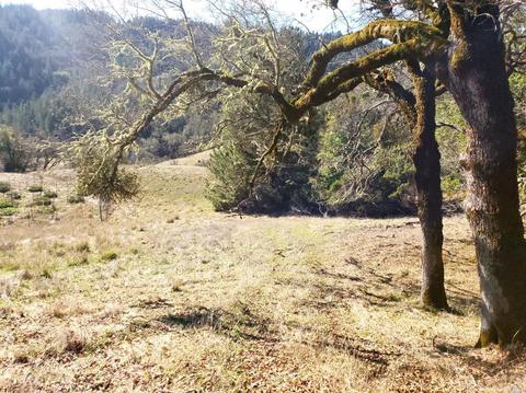 Undisclosed, Willits, CA 95490 photo 11