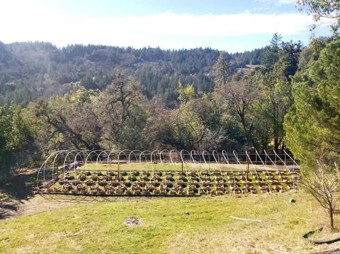 Undisclosed, Willits, CA 95490 photo 4