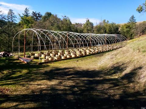 Undisclosed, Willits, CA 95490 photo 3