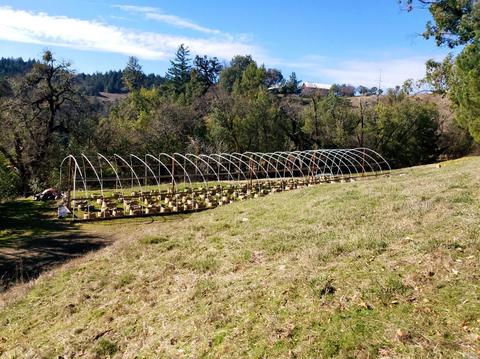 Undisclosed, Willits, CA 95490 photo 18