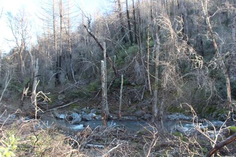 12043 Mead Rd, Middletown, CA 95461 photo 4