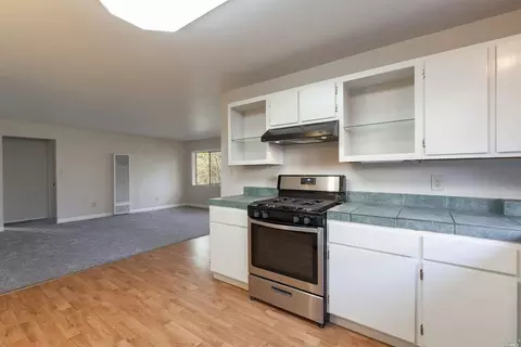 7798 Brookside Ave, Sebastopol, CA 95472 photo 28