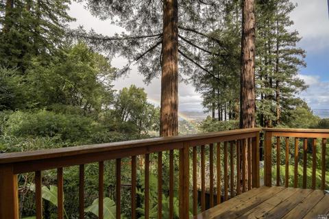 106 Summit Dr, Corte Madera, CA 94925 photo 40