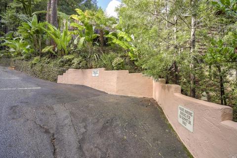 106 Summit Dr, Corte Madera, CA 94925 photo 42