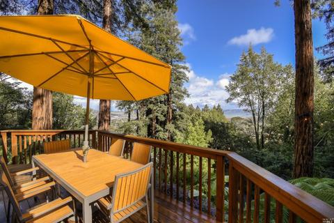 106 Summit Dr, Corte Madera, CA 94925 photo 37