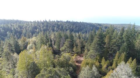 43801 Iversen Rd, Gualala, CA 95445 photo 6