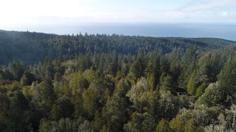 43801 Iversen Rd, Gualala, CA 95445 photo 4