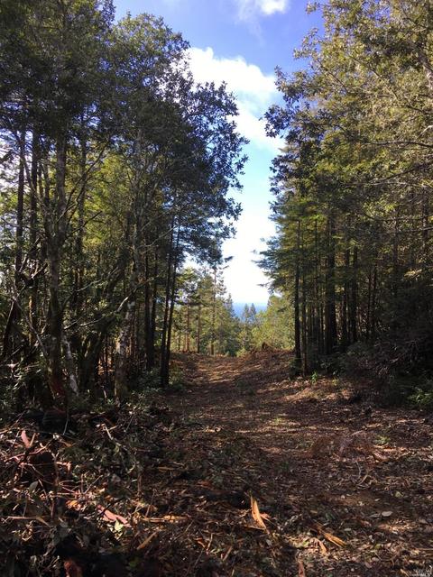 43801 Iversen Rd, Gualala, CA 95445 photo 5