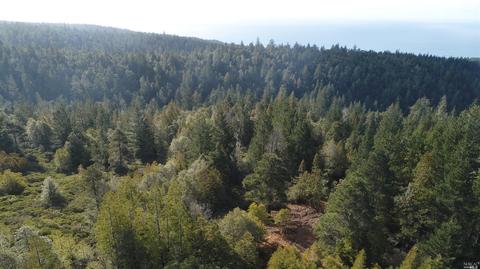 43801 Iversen Rd, Gualala, CA 95445 photo 1