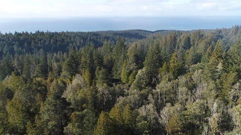 43801 Iversen Rd, Gualala, CA 95445 photo 2