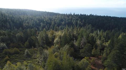 43801 Iversen Rd, Gualala, CA 95445 photo 9
