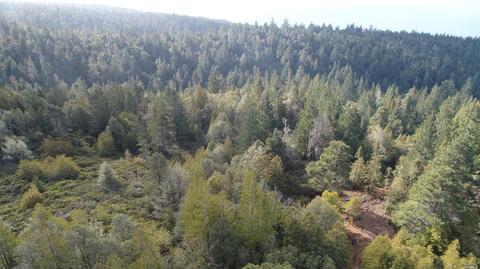 43801 Iversen Rd, Gualala, CA 95445 photo 8