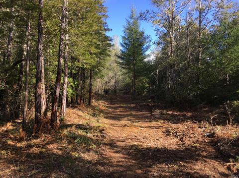 43801 Iversen Rd, Gualala, CA 95445 photo 3