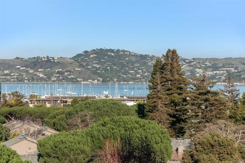 114-116 Buchanan Dr, Sausalito, CA 94965 photo 11