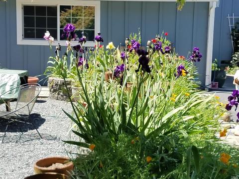 6221 Roblar Rd, Petaluma, CA 94952 photo 27