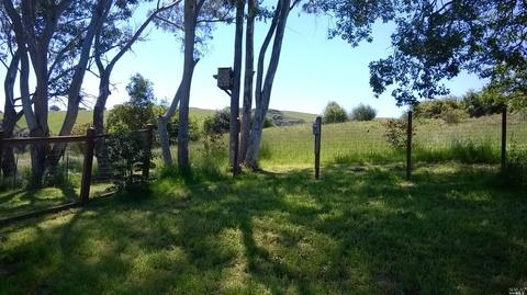 6221 Roblar Rd, Petaluma, CA 94952 photo 20