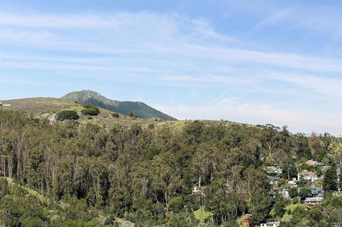 714 Cabin Dr, Mill Valley, CA 94941 photo 14
