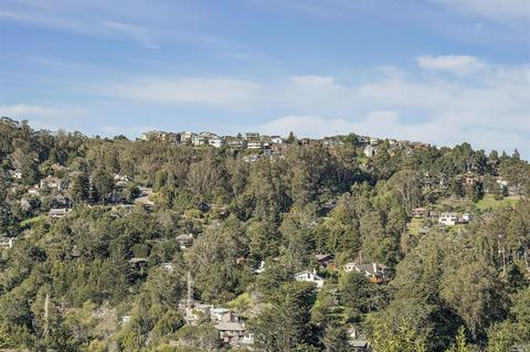 714 Cabin Dr, Mill Valley, CA 94941 photo 41