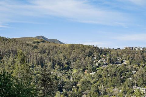 714 Cabin Dr, Mill Valley, CA 94941 photo 42