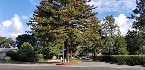 111 Roundtree Blvd, San Rafael, CA 94903 photo 15