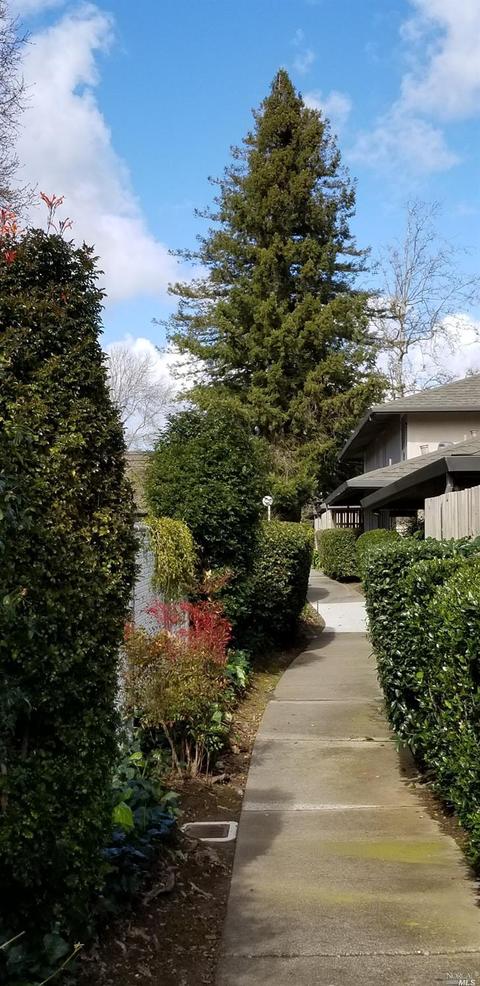 111 Roundtree Blvd, San Rafael, CA 94903 photo 9