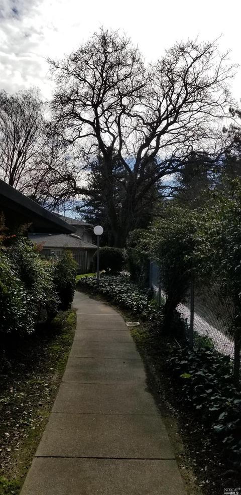 111 Roundtree Blvd, San Rafael, CA 94903 photo 8