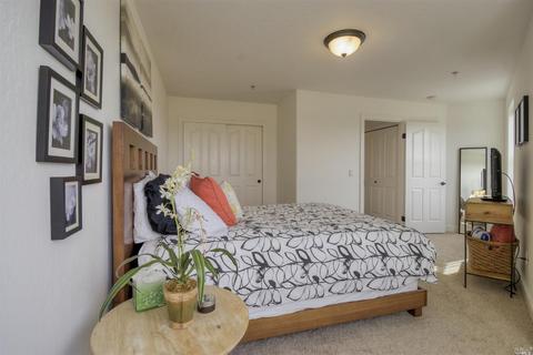 418 Emily Rose Cir, Windsor, CA 95492 photo 29