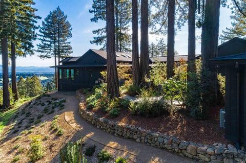 17400 Willow Creek Rd, Occidental, CA 95465 photo 43