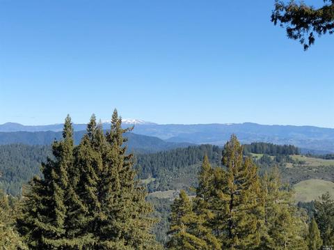 17400 Willow Creek Rd, Occidental, CA 95465 photo 46