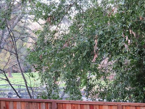 915 Hazel Ave, Ukiah, CA 95482 photo 17