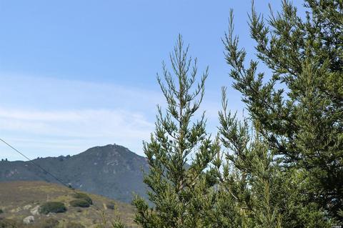 787 Marin Dr, Mill Valley, CA 94941 photo 4