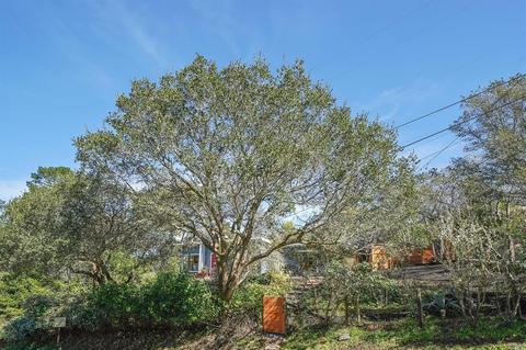 787 Marin Dr, Mill Valley, CA 94941 photo 38
