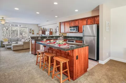 450 Emily Rose Cir, Windsor, CA 95492 photo 23