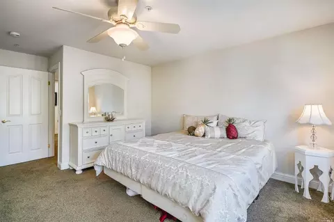 450 Emily Rose Cir, Windsor, CA 95492 photo 33