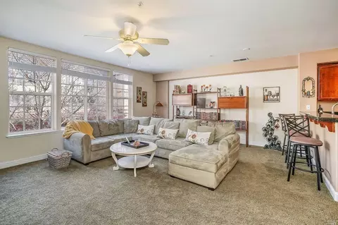 450 Emily Rose Cir, Windsor, CA 95492 photo 25