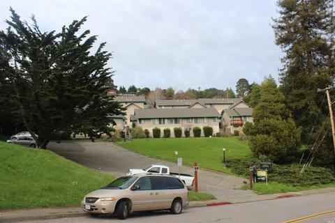 825 Drake Ave, Sausalito, CA 94965 photo 42