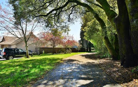 725 Kay Starr Ct, Windsor, CA 95492 photo 23