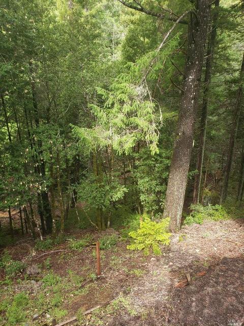 24323 Lilac Rd, Willits, CA 95490 photo 23