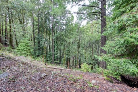 24323 Lilac Rd, Willits, CA 95490 photo 22