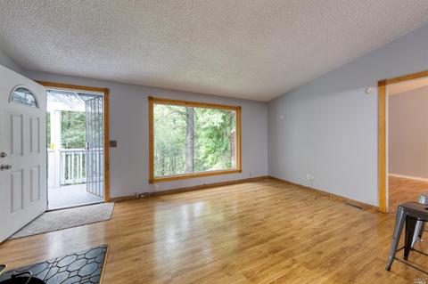 24323 Lilac Rd, Willits, CA 95490 photo 4